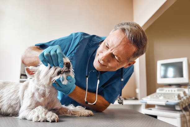 Best Emergency Care for Gum Disease in Laurens, SC